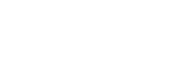 DCS-logo-wt